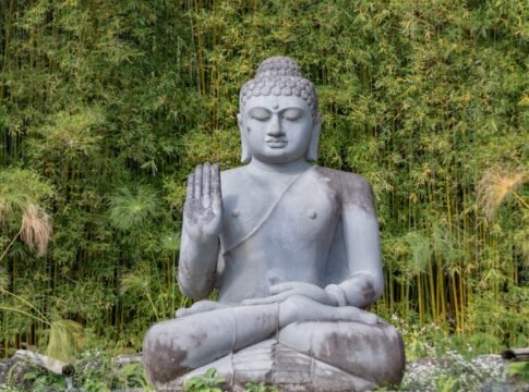 Silencing the Noise: Strategies for Inner Peace Amidst Chaos