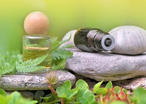 Embrace Natural Therapies for Vitality Embrace Natural Therapies for Vitality