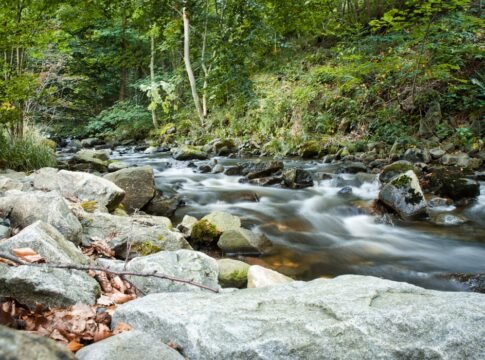 Unlock Serenity: Harnessing Nature Sounds for Stress Relief Unlock Serenity: Harnessing Nature Sounds for Stress Relief